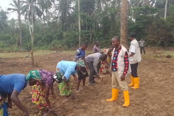 Ekagri à Mweka dans l'implémentation de bonnes pratiques agricoles