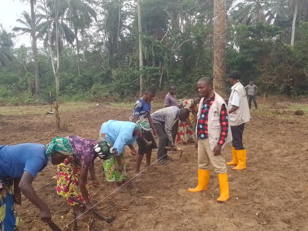 Ekagri à Mweka dans l'implémentation de bonnes pratiques agricoles