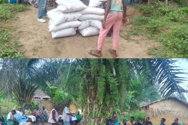 Séance de Distribution d'intrants agricoles à Mweka