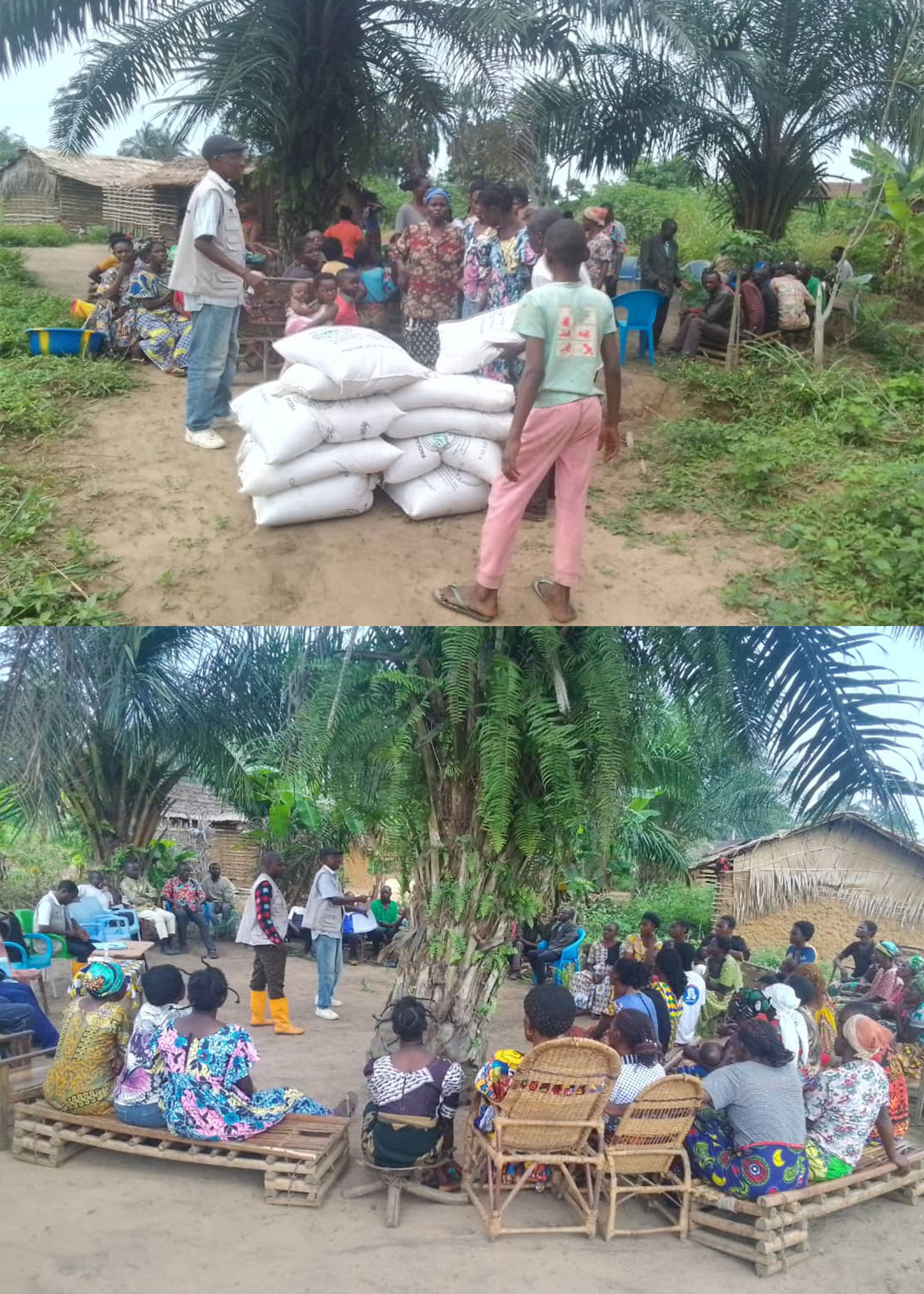 Séance de Distribution d'intrants agricoles à Mweka