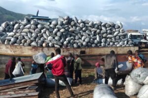 chargement au port Kasheke vers Goma. Braise PNKB Photo socive environnement