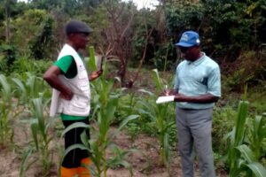 l'inspecteur de l'agriculture en visite d'inspection à Mweka