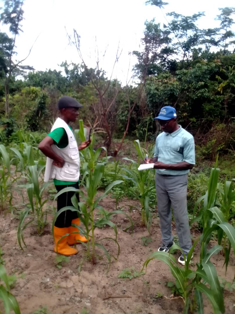 l'inspecteur de l'agriculture en visite d'inspection à Mweka