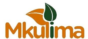 Mkulima Média