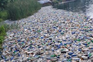 Les déchets plastiques, avec nous et parmi nous, disons non/ Photo crédit
