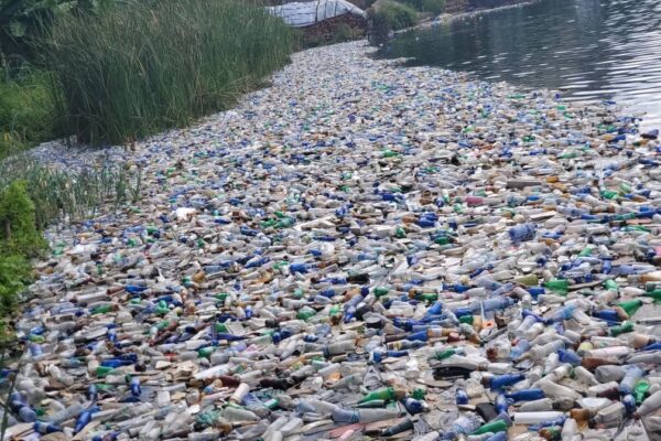 SUD-KIVU : du plastique tue aujourd’hui et tuera demain Les déchets plastiques, avec nous et parmi nous, disons non/ Photo crédit