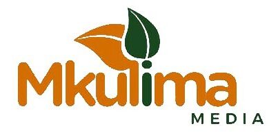Mkulima Média