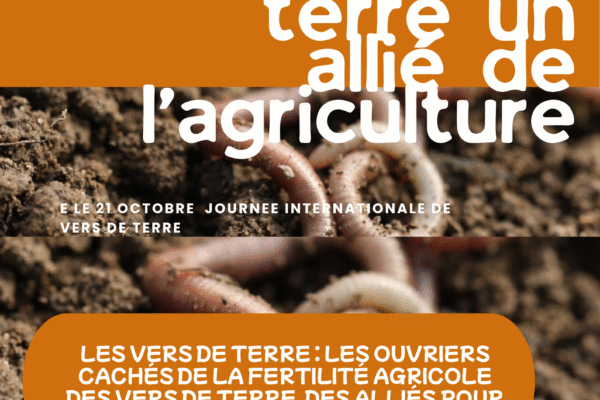 Les vers de terre : les architectes cachés de la fertilité des sols, Les vers de terre, un agent de grande utilité pour la fertilité du sol