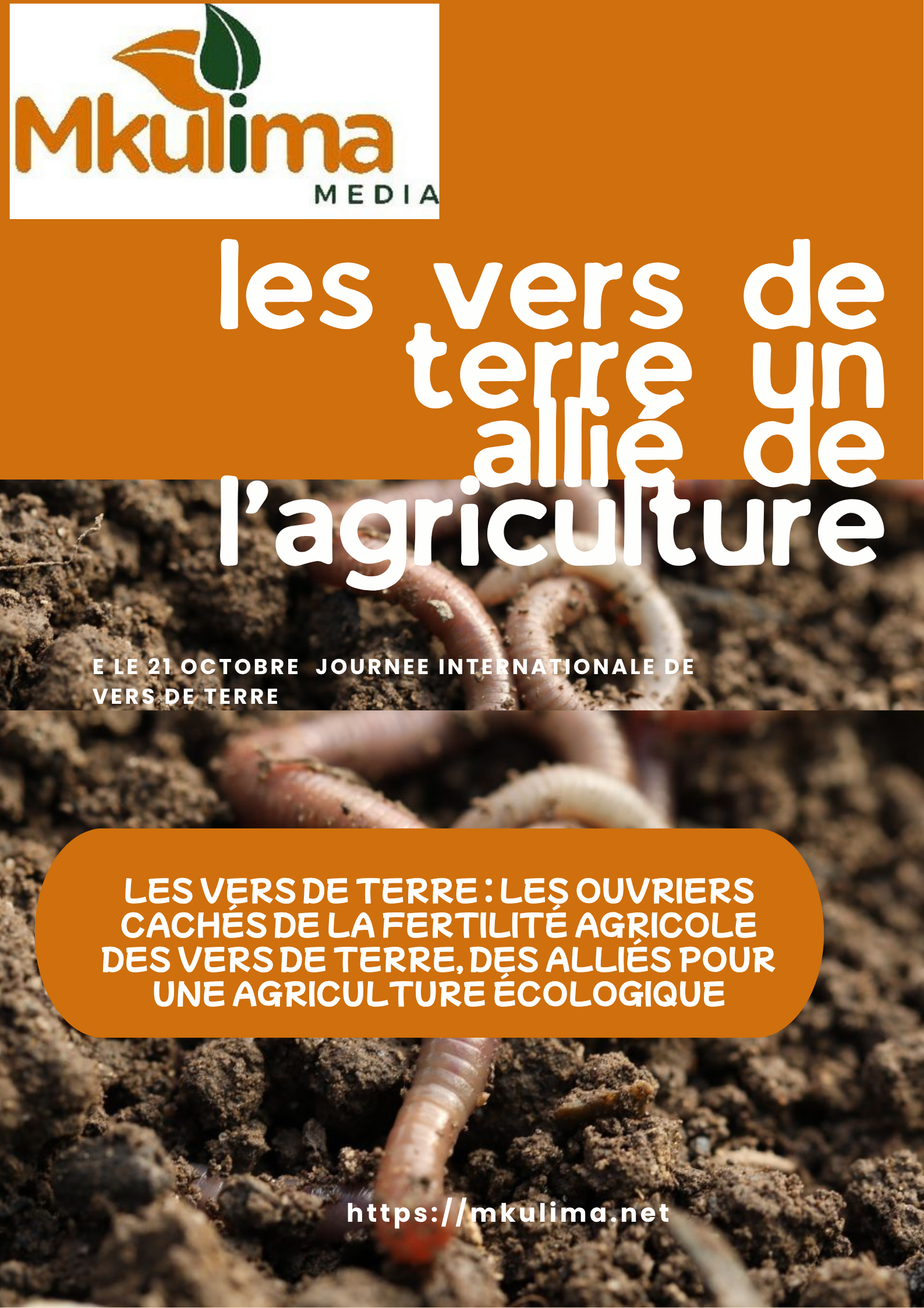 Les vers de terre, un agent de grande utilité pour la fertilité du sol