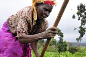 Est de la RDC : la femme rurale, victime silencieuse d’une guerre qui ravage ses champs et sa dignité Avec sa houe elle nourrit la communaute. Respect à la femme rurale/ photo Crédit