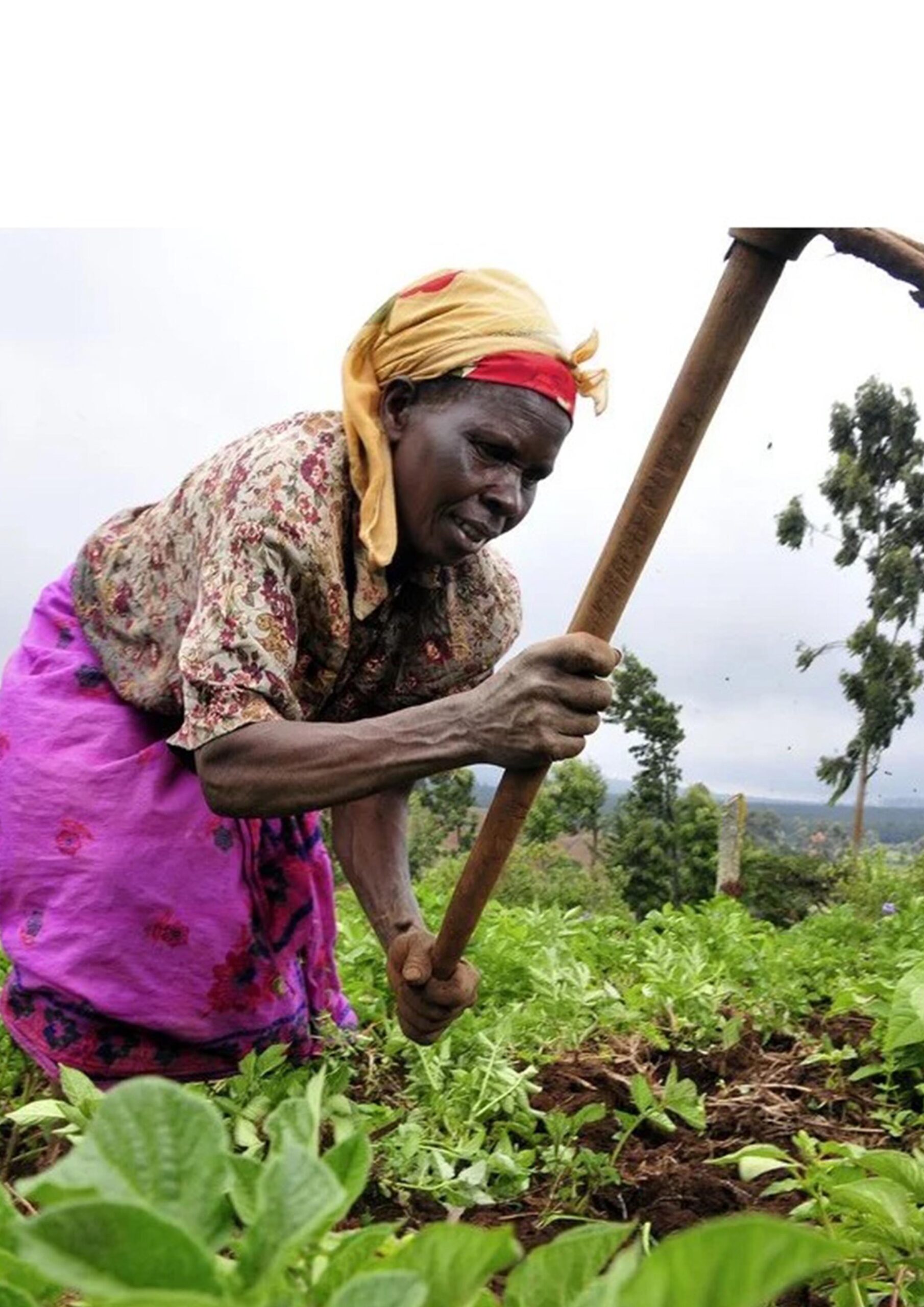 Avec sa houe elle nourrit la communaute. Respect à la femme rurale/ photo Crédit